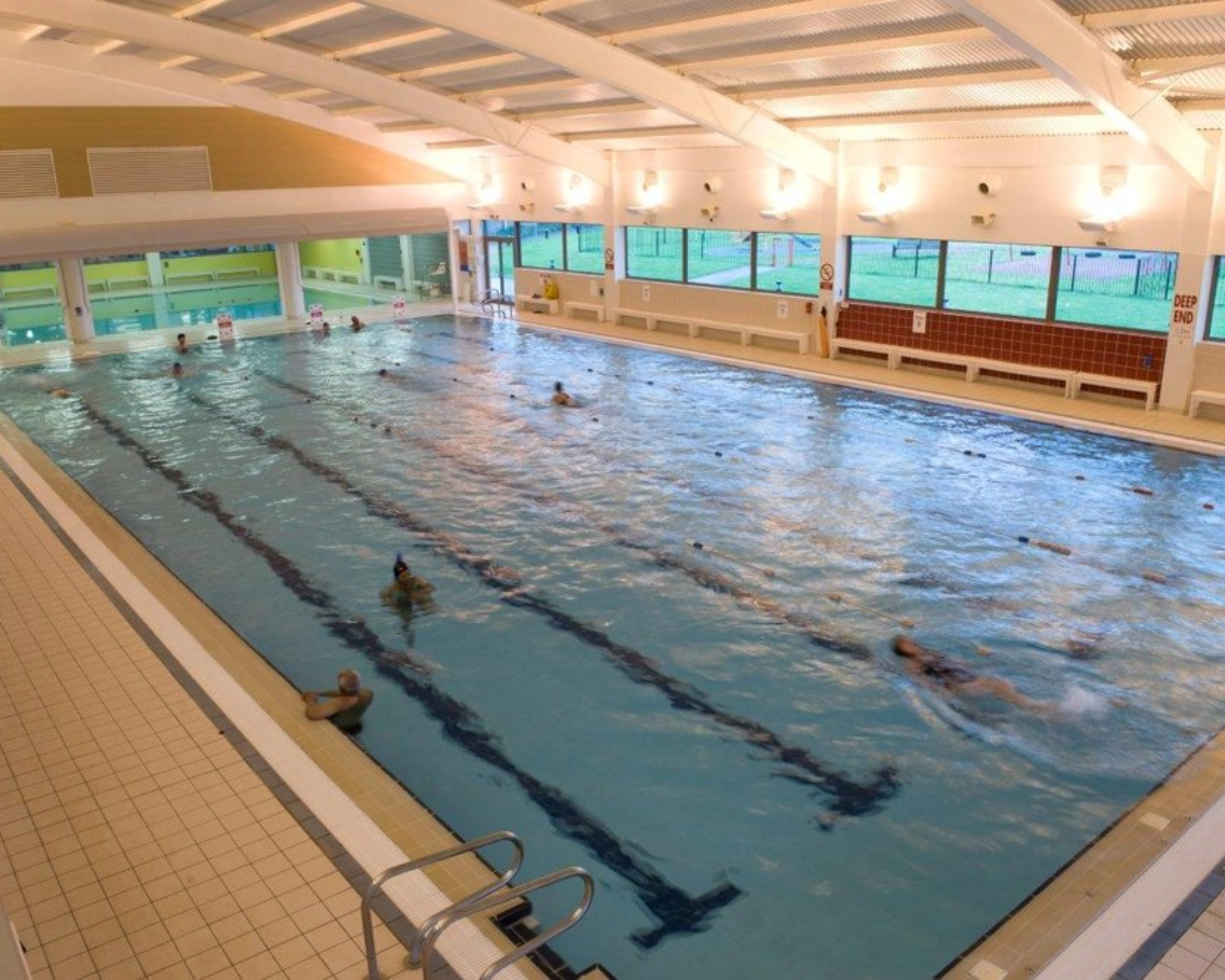Free Swimming