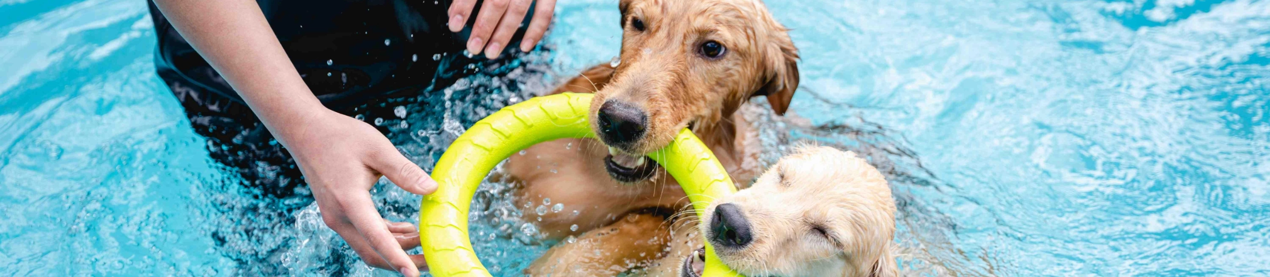 Leisure Centre Hero Image