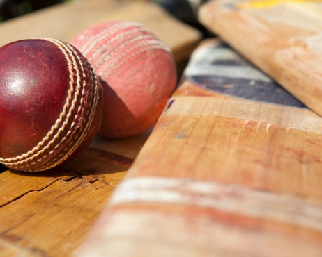 Cricket Nets